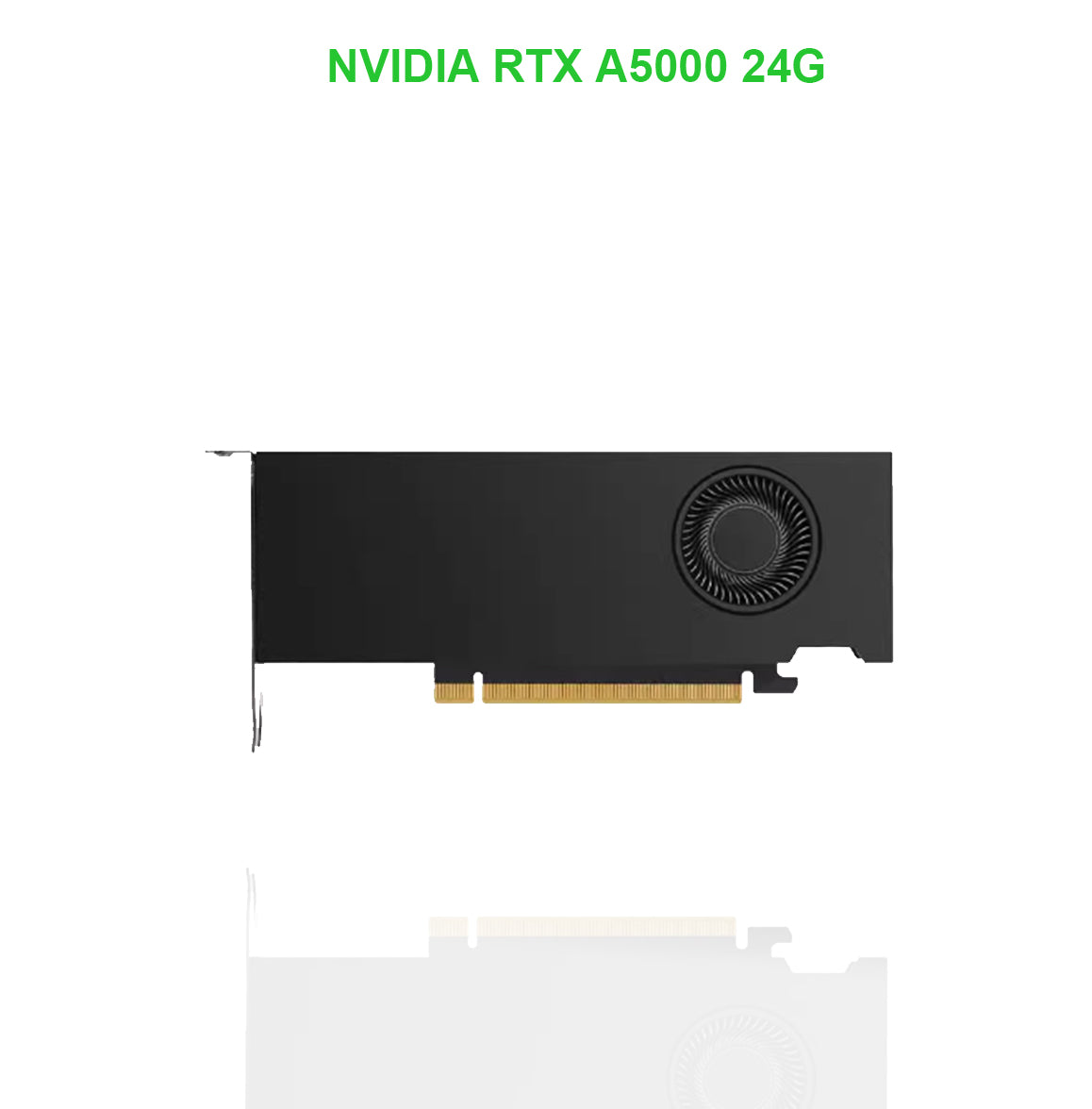 NVIDIA RTX A2000 | A2000 12GB Graphics Card